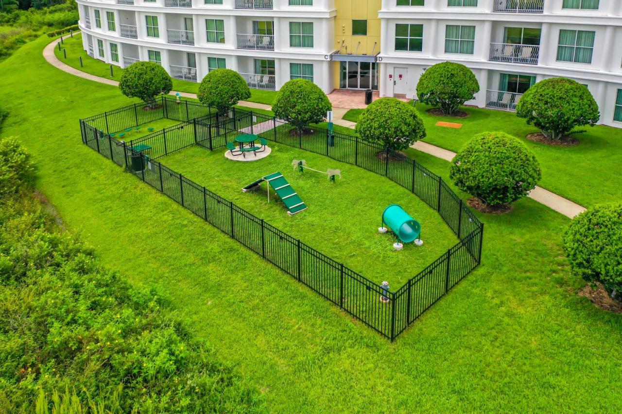 Pet Friendly In Orlando Area Near Disney Celebration Extérieur photo